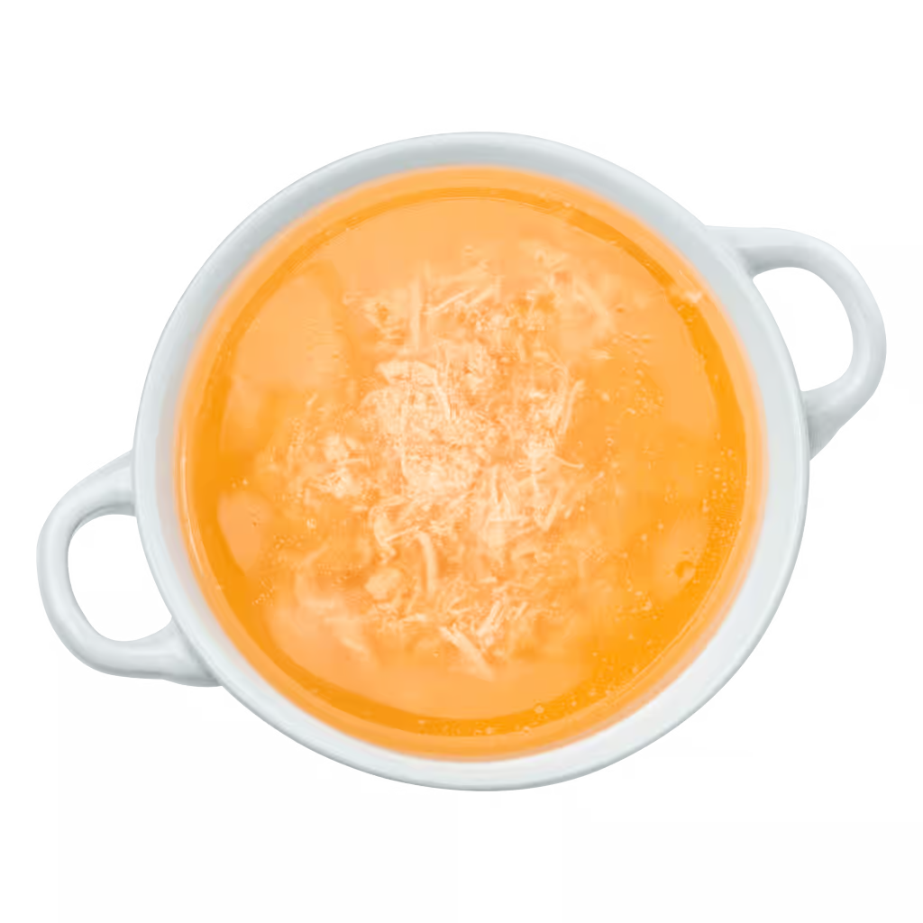 GranataPet Suppenkasper Salmon & Poultry Cat Soup - serving suggestion