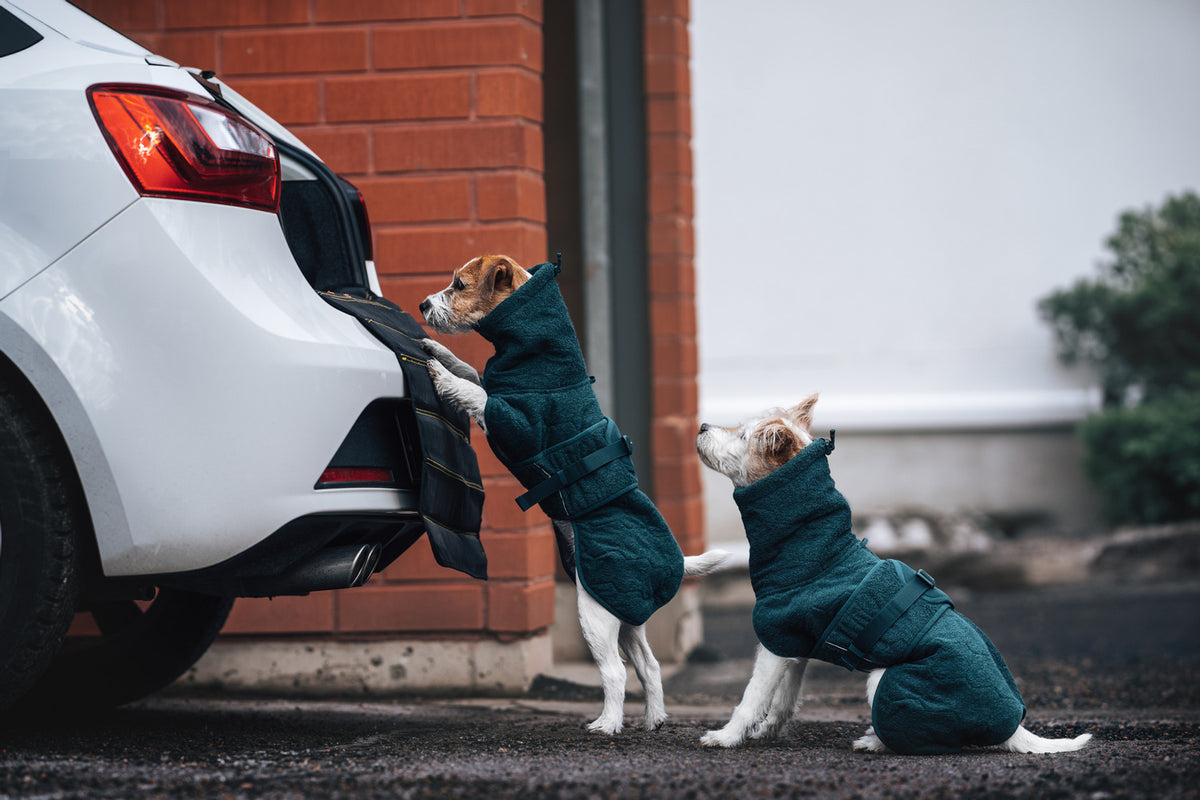 Non-stop Dogwear Drying Coat - Dark Teal