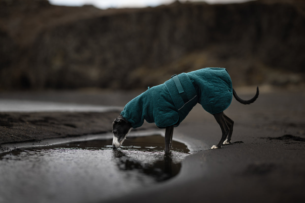Non-stop Dogwear Drying Coat - Dark Teal