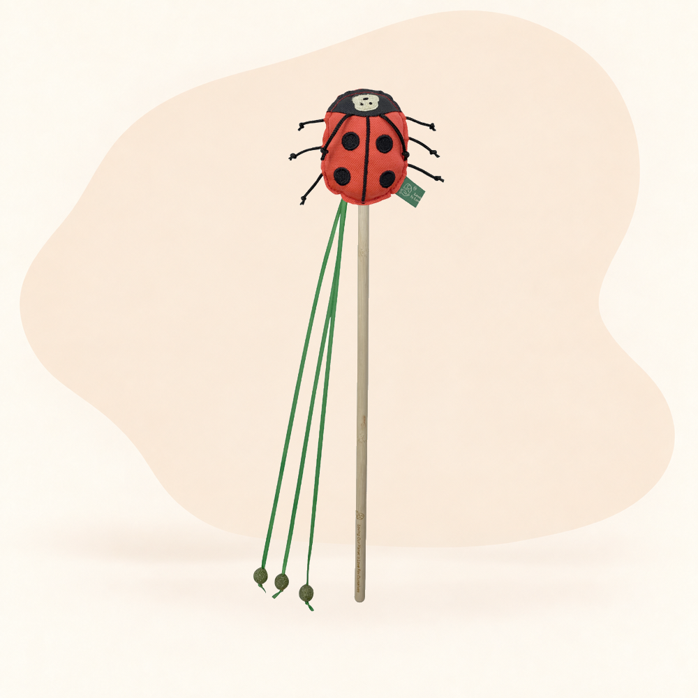 Catnip Ball Wand - Ladybird