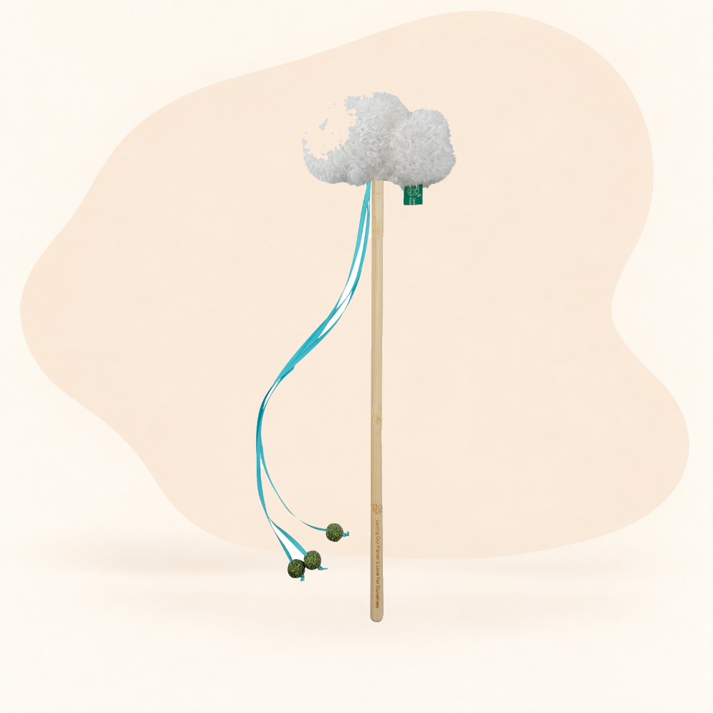  - Cloud