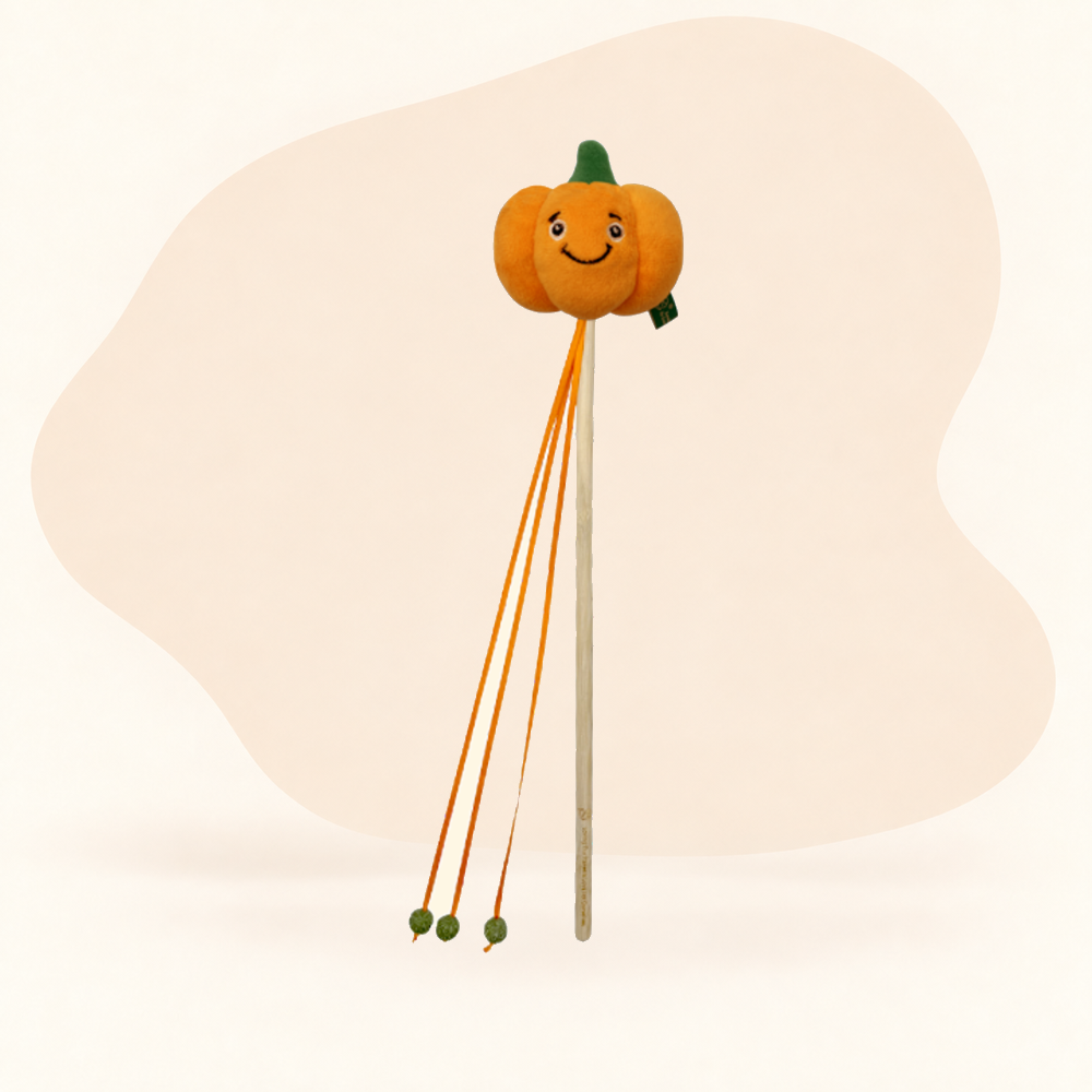  - Pumpkin
