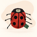  - Ladybird