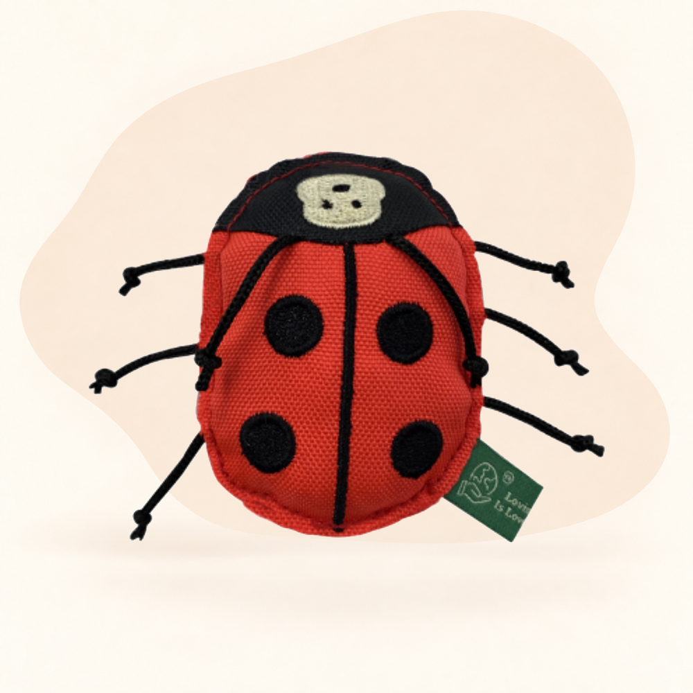 - Ladybird