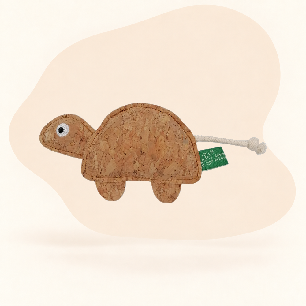  - Turtle