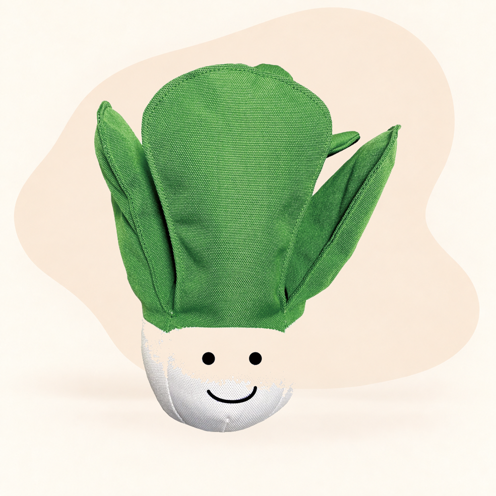  - Cabbage
