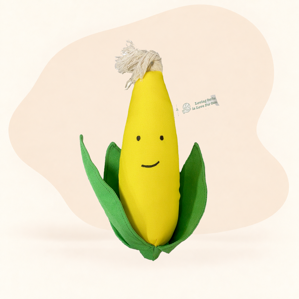 Eco-Friendly Toy - I Love Vegetable - Corn