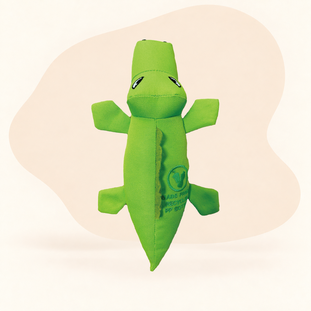  - Alligator