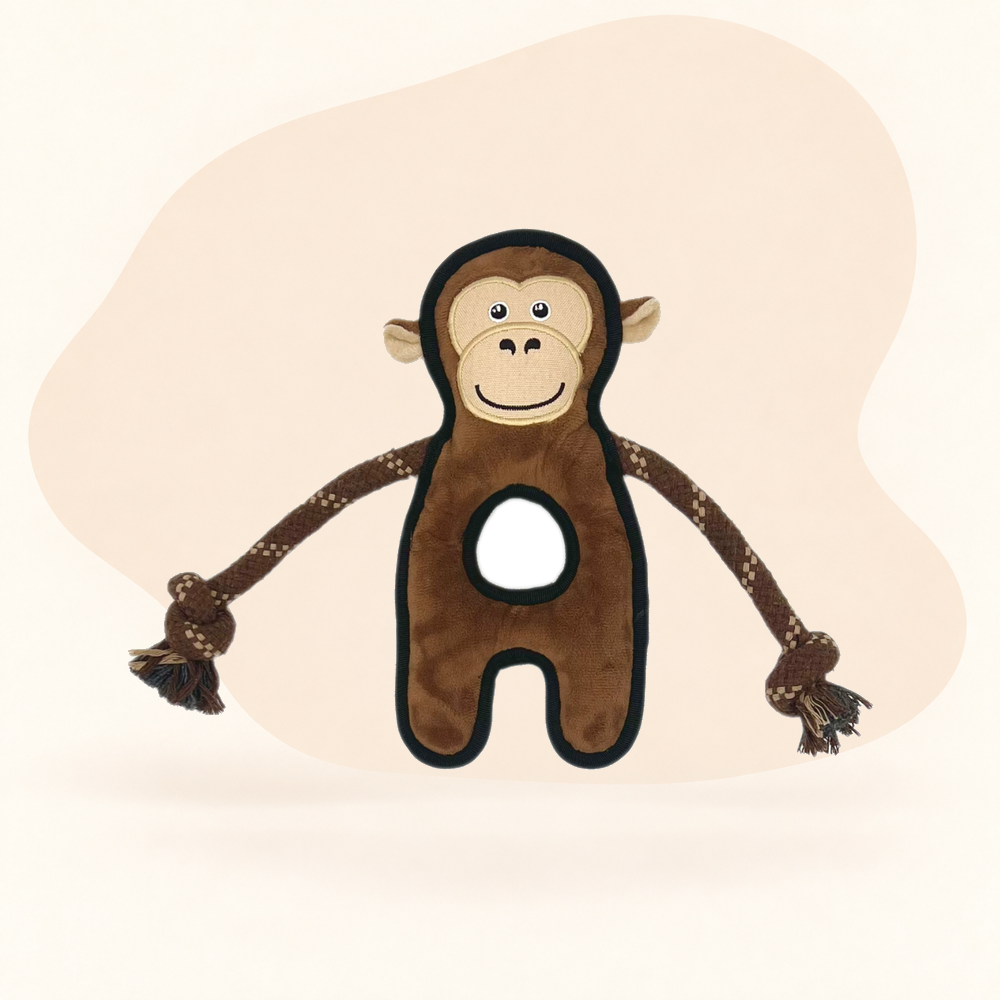  - Monkey