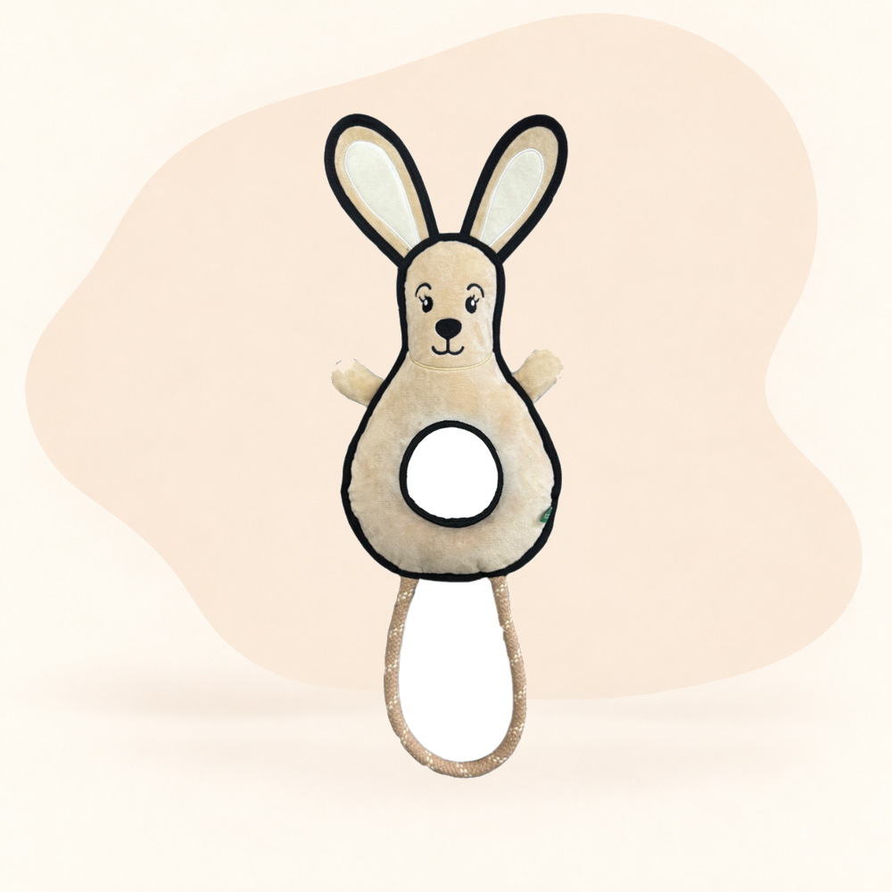  - Rabbit
