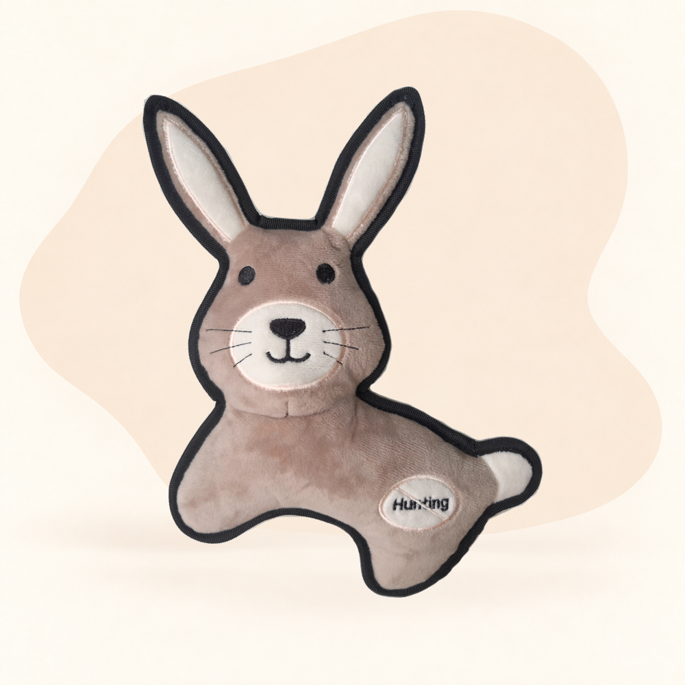  - Rabbit