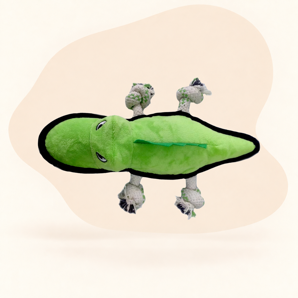  - Alligator