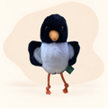  - Baby Hematopus Ostralegus