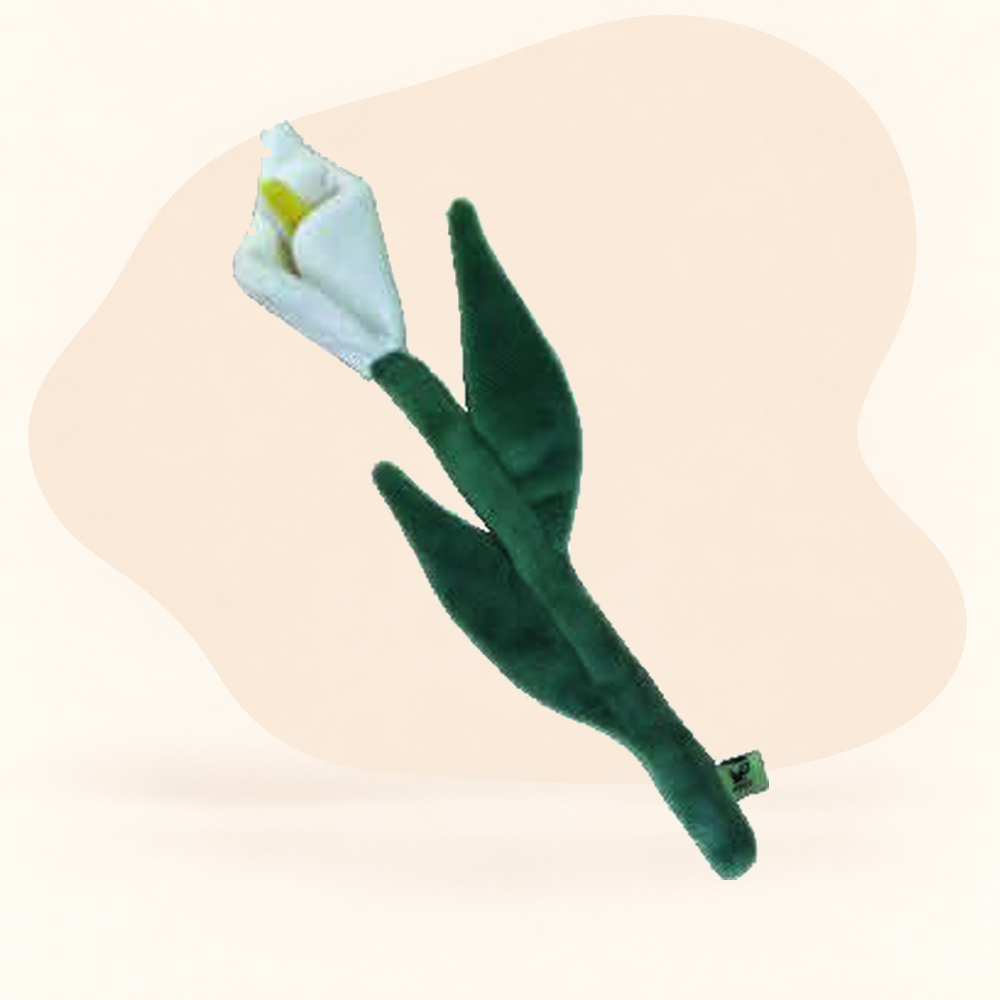  - Calla Lily