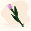  - Tulip