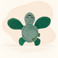  - Turtle