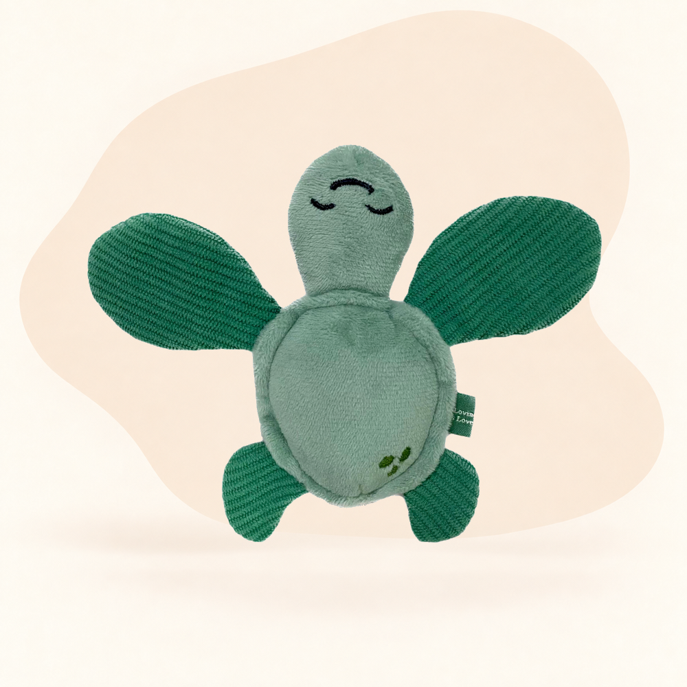  - Turtle