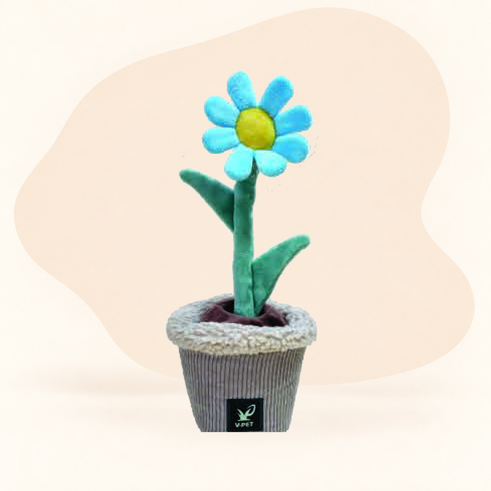  - Little Daisy