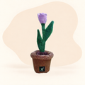  - Tulip