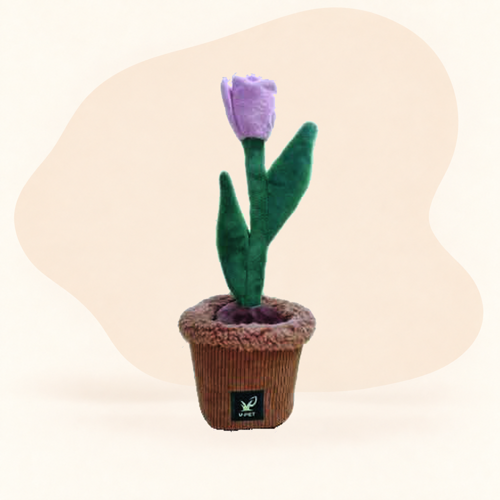  - Tulip