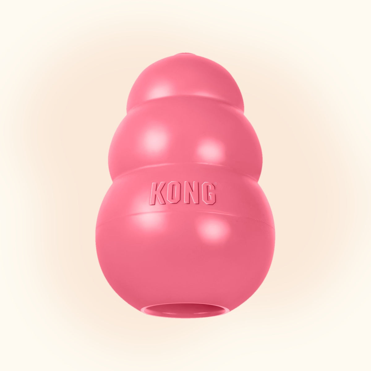 KONG Puppy Dog Toy