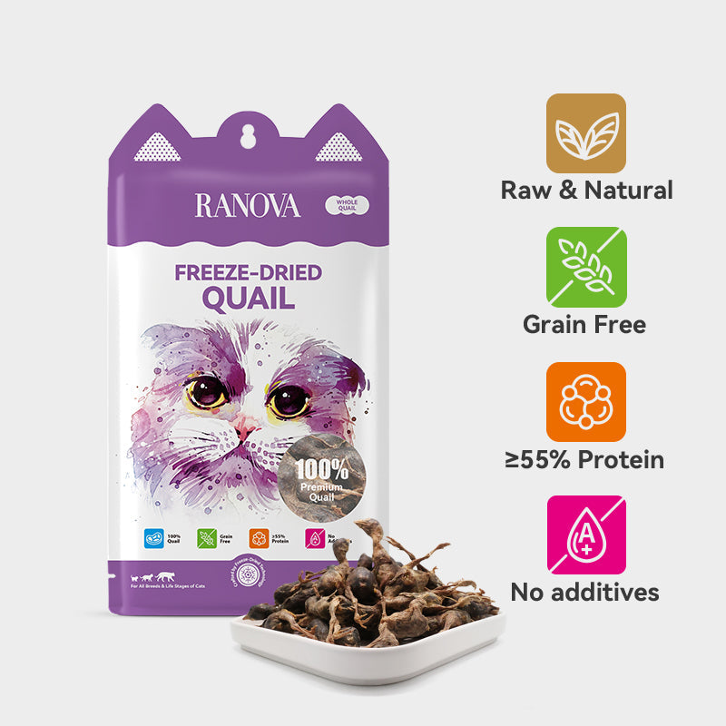 RANOVA Freeze-Dried Quail Treats 40g