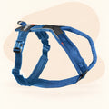 Non-stop Dogwear Line Harness 5.0 - Blue
